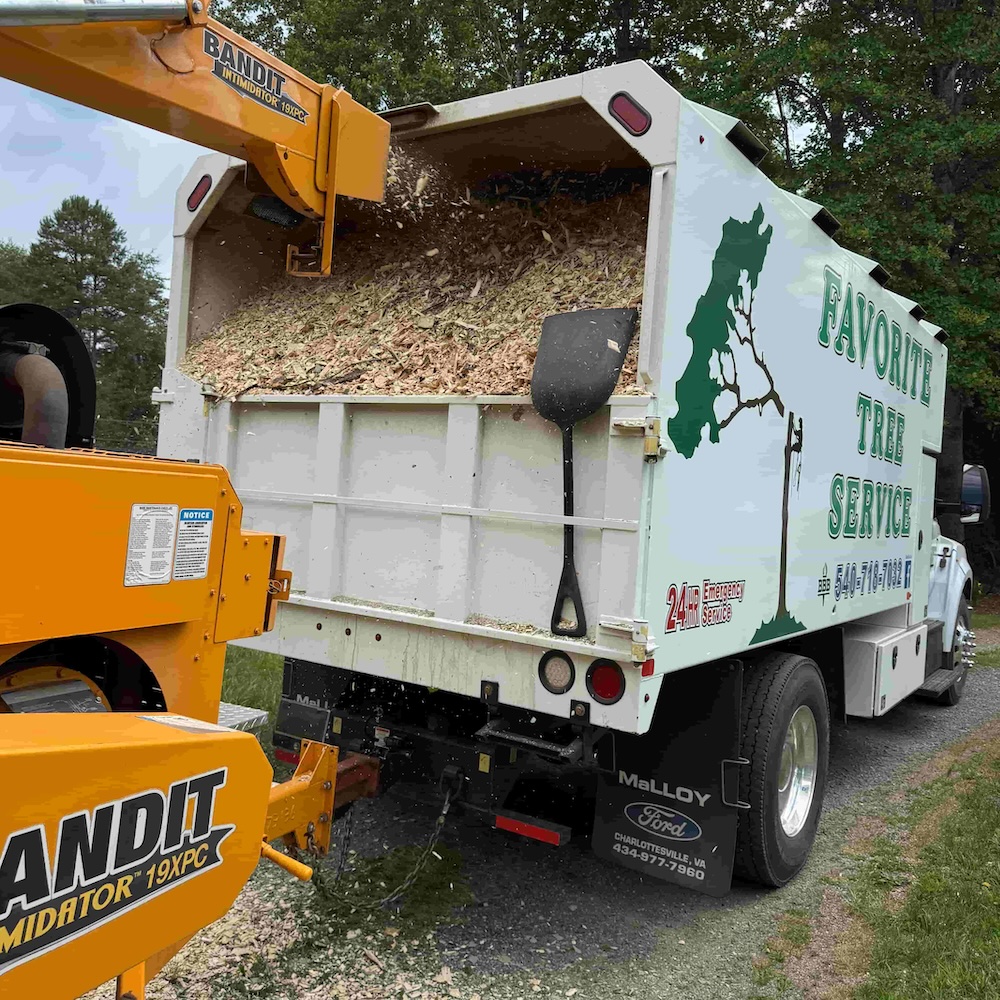 Favorite Tree Service crew on a recent Central Virginia tree job