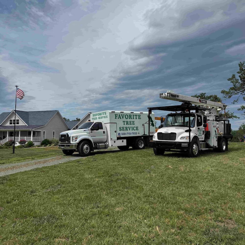 Favorite Tree Service equipment staged for a tree removal