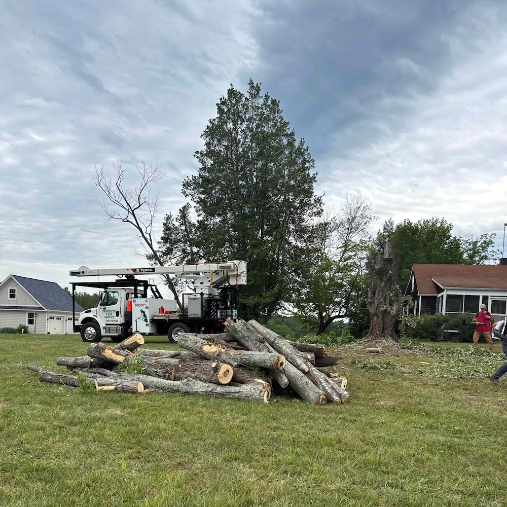 Favorite Tree Service completed tree work on a residential property