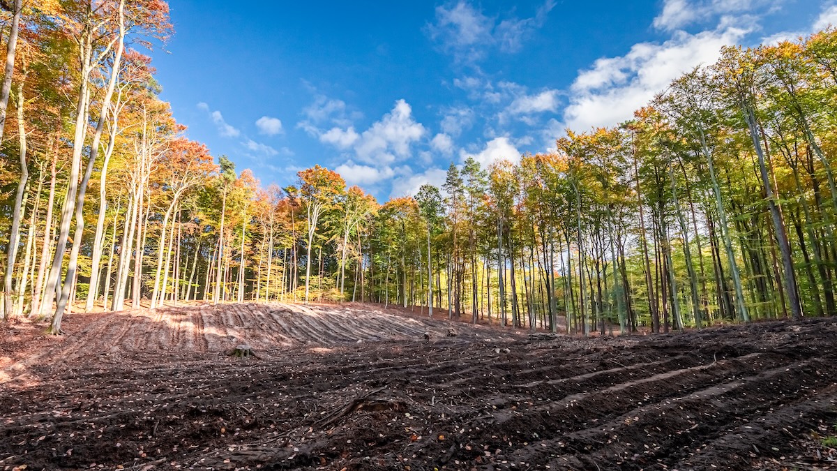 Recently cleared building lot in Central Virginia ready for construction
