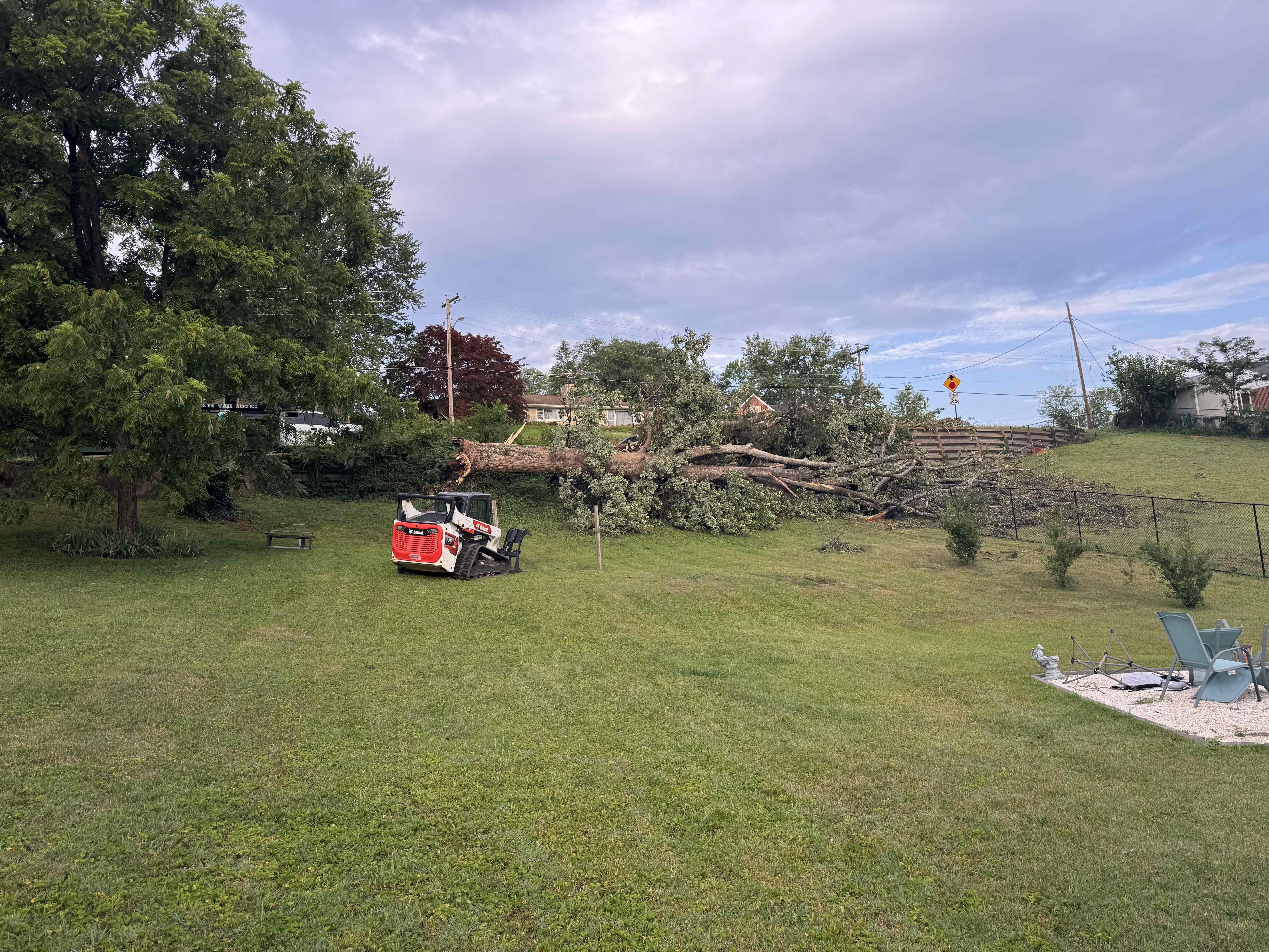 Uprooted tree cut into logs with the stump still rooted on a sloped Central Virginia lot