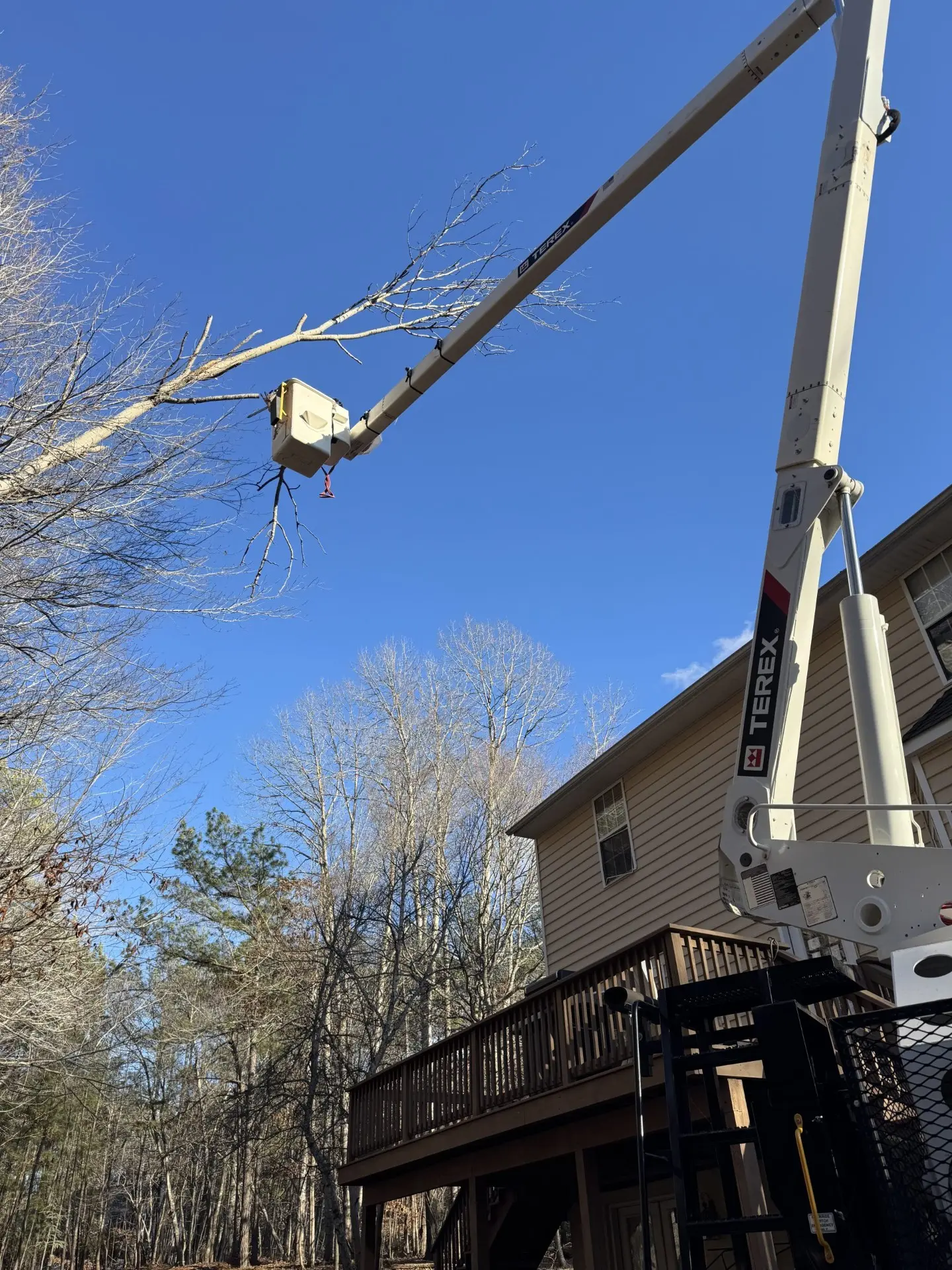 Favorite Tree Service crew at work in Central Virginia