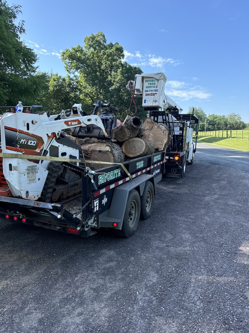 Favorite Tree Service bucket truck and tracked loader staged with cut hardwood rounds after a removal