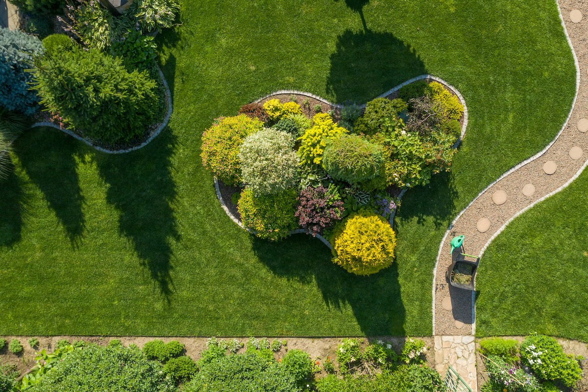 Tree-lined driveway in Central Virginia after professional landscape maintenance